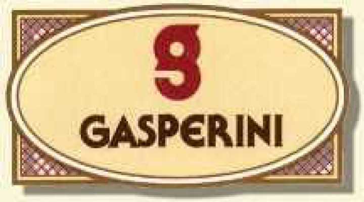 gasperini-logo