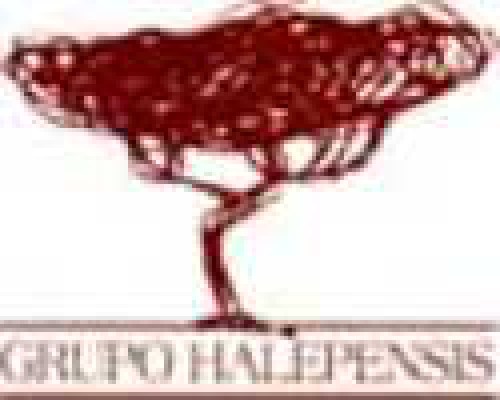 grupohalepensis-logo