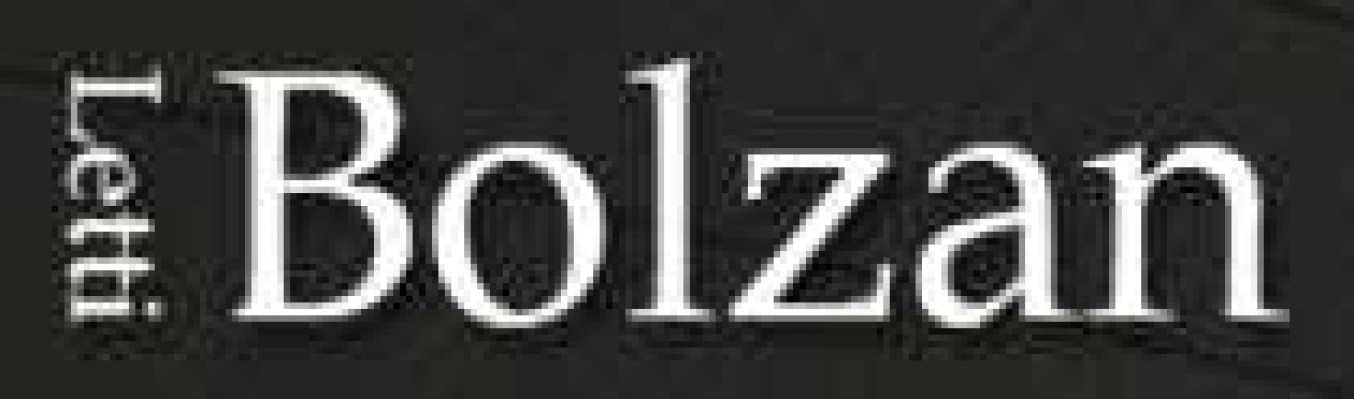 bolzan-logo